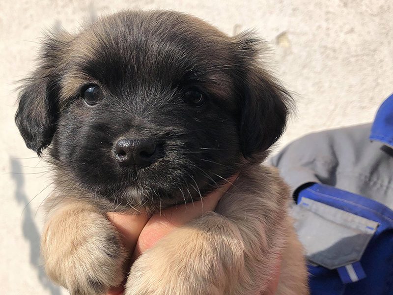 Oppdag hvor langt ROLDA har kommet, og kun takket være folk som deg